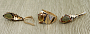 Комплект "Канопус", султанит, покрытие под золото, размеры кольца: 17, 18, 19, 20