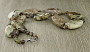 Яшма уральская, плоские капли 30х40мм, бусы длиной 55см